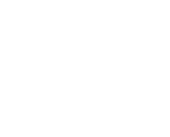 Brain Host logo